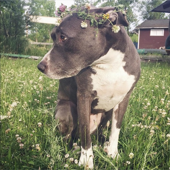 l i m a b e a n b o u t i q u e🐷 - Picture 5 of 5